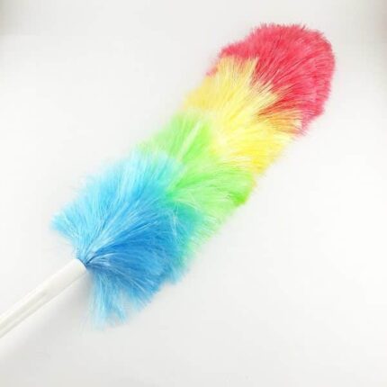 PLUMERO ARCOIRIS PLASTICO